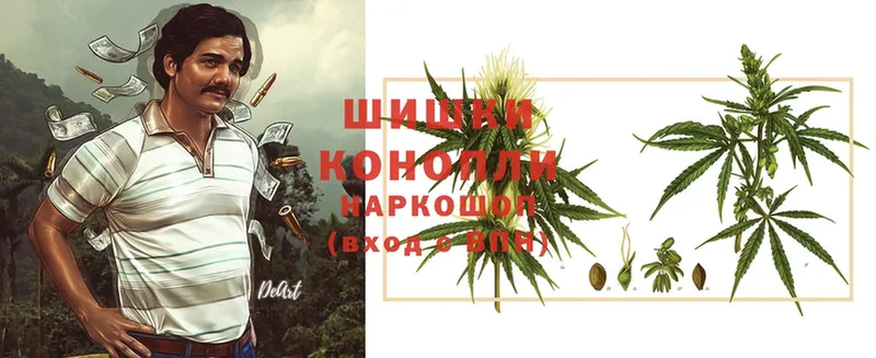 МЕГА ссылки  закладки  Черногорск  Шишки марихуана OG Kush 